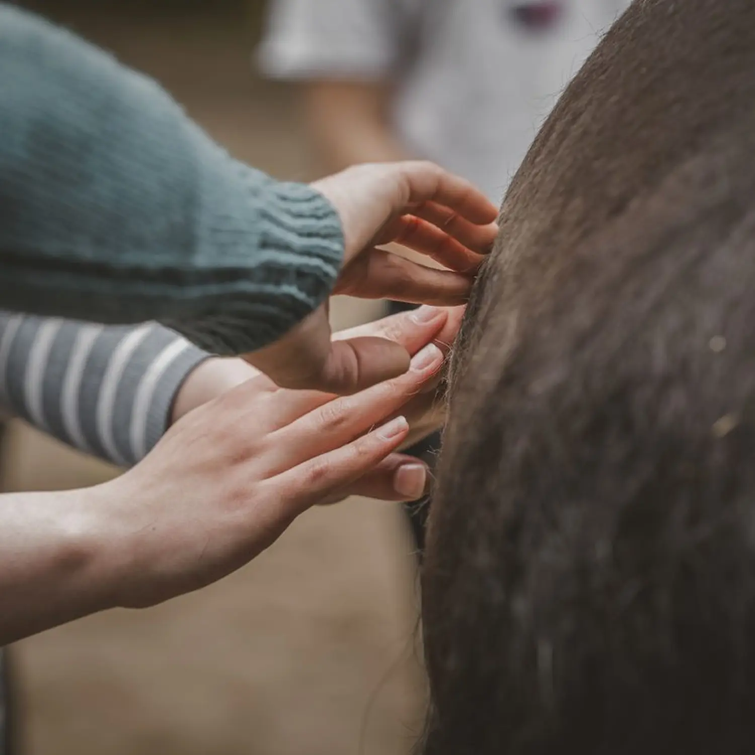 VPO-Perdeosteopathie Haende Uebung