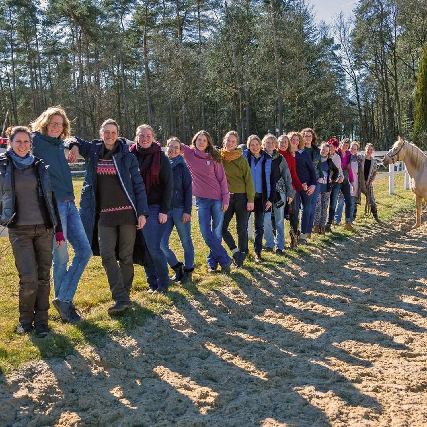 VPO Ausbildung Gruppe Zaun Pferd