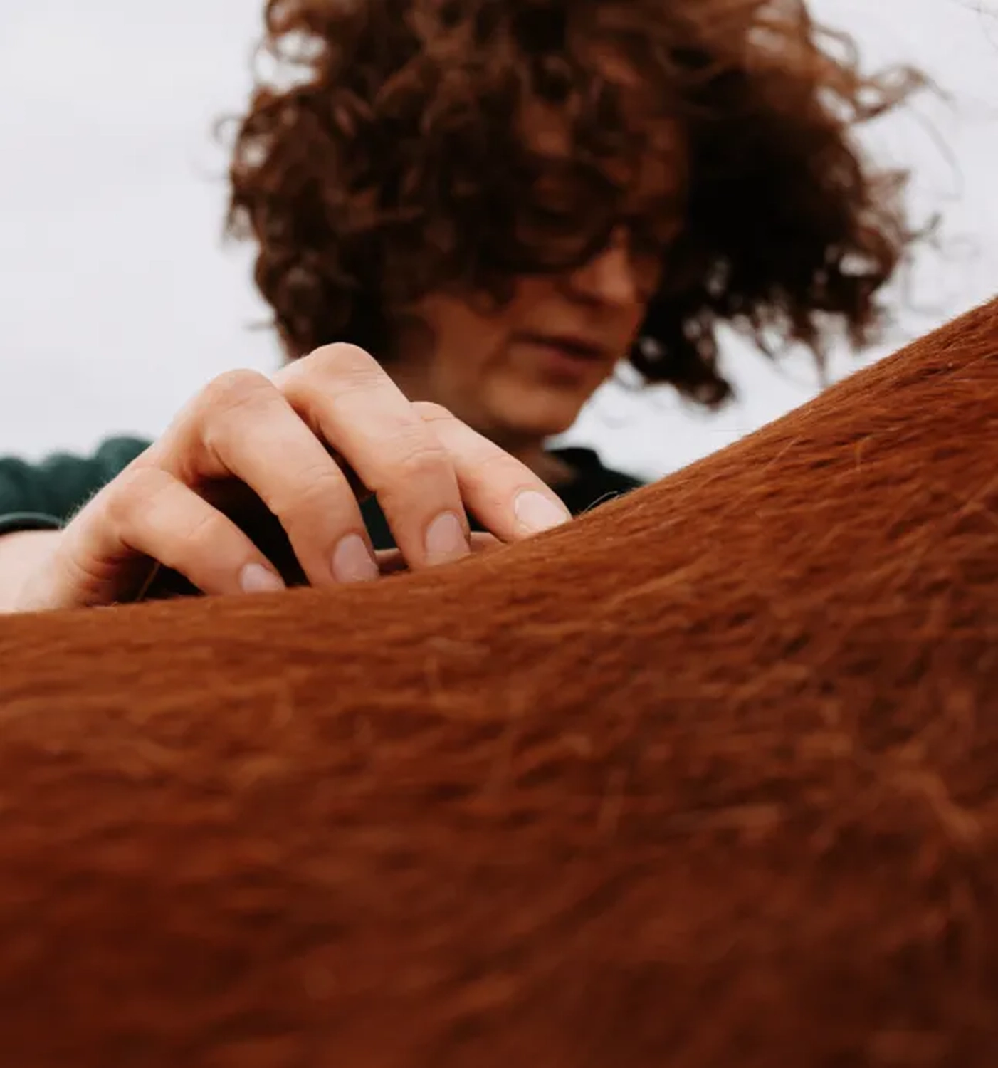 Katharina Brauer mit Pferd von Visionäre Pferdeosteopathie