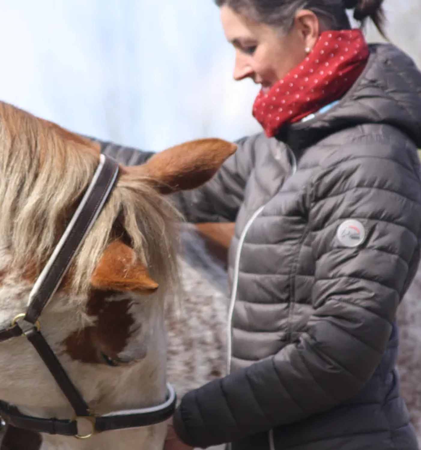 Julia Dach mit Pferd von Visionäre Pferdeosteopathie