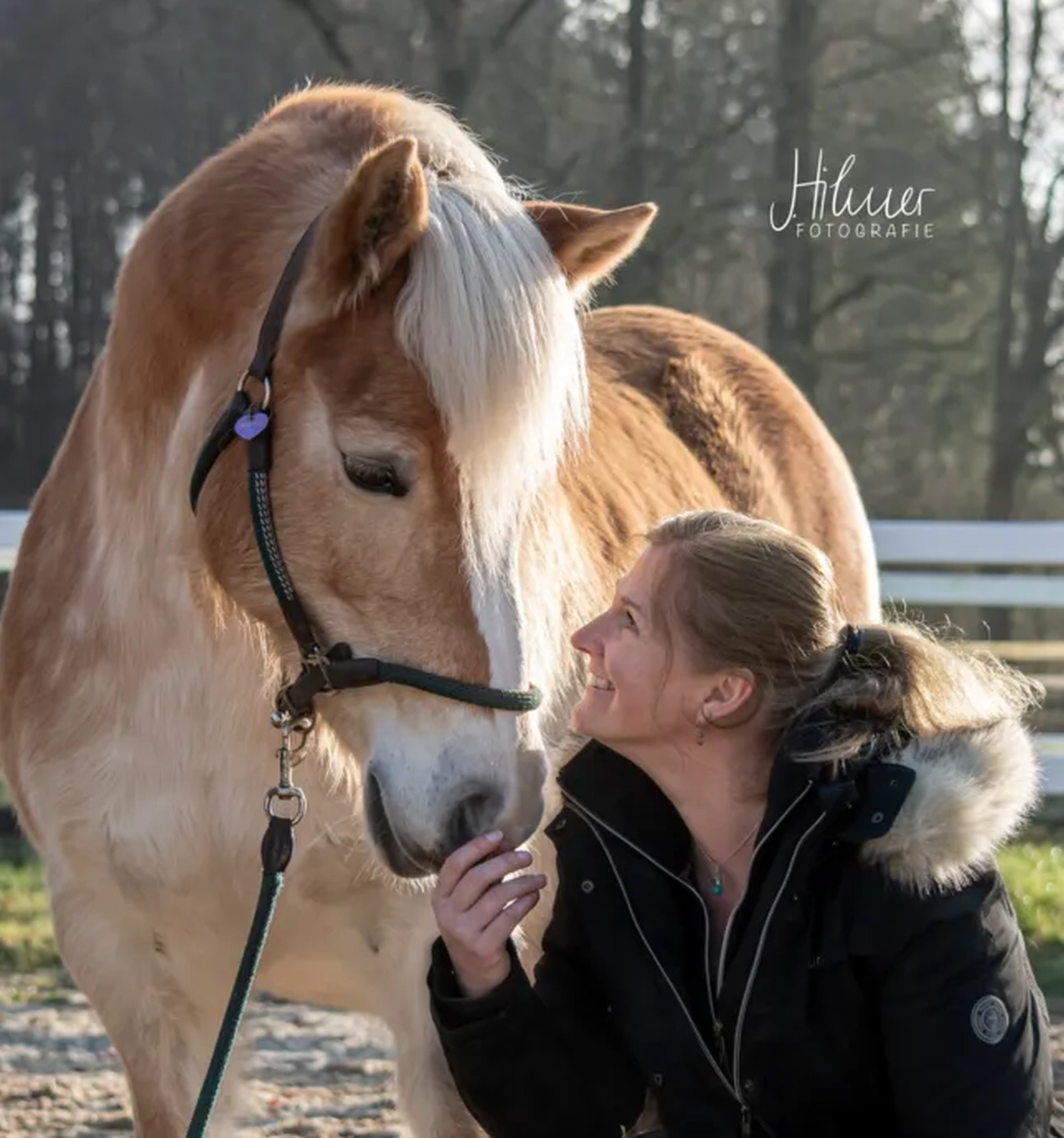 Christine Heußinger mit Pferd von Visionäre Pferdeosteopathie