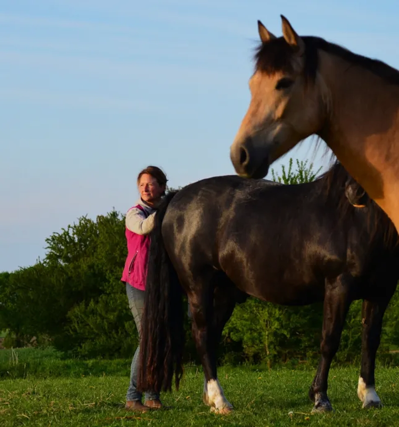 Manuela Heblich mit Pferd von Visionäre Pferdeosteopathie