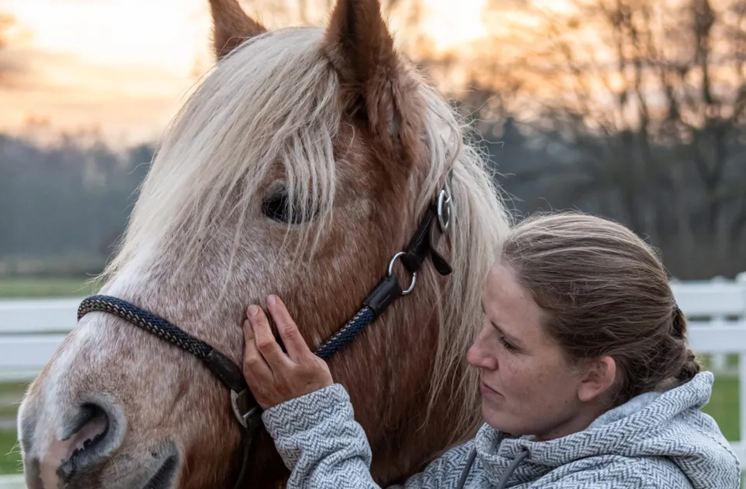 Annika Malzahn mit Pferd von Visionäre Pferdeosteopathie